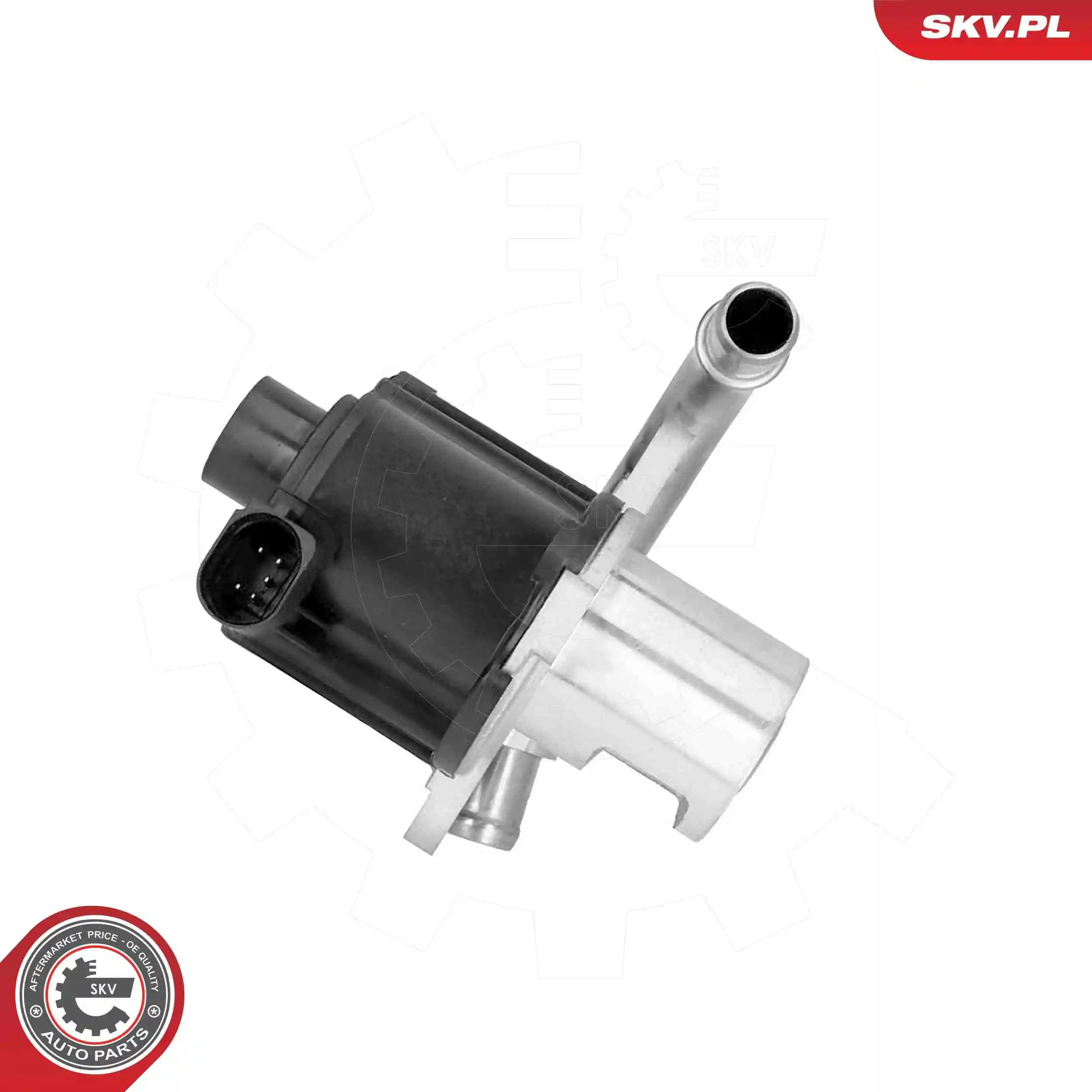 EGR Valve